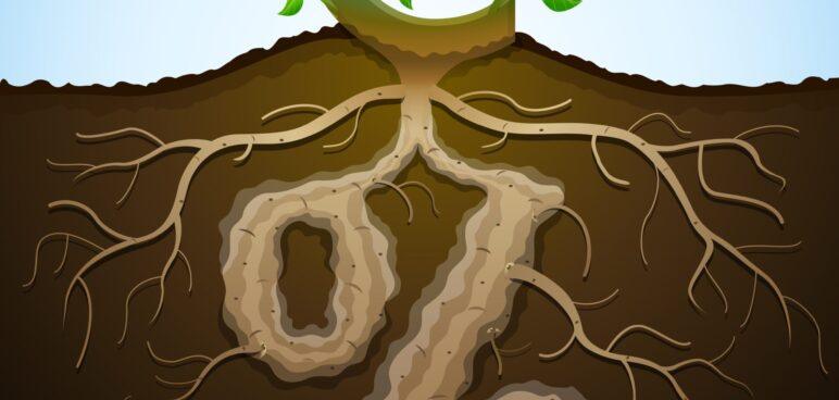 La TVA sur les factures impayées peut être récupérée sous certaines conditions.